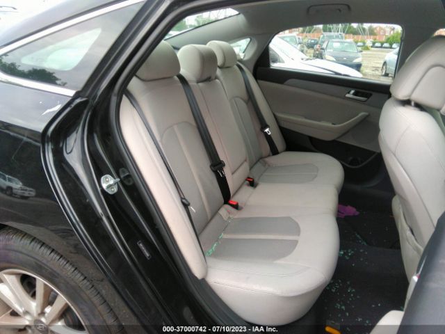 5NPE24AF7HH529566 Hyundai Sonata