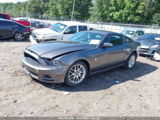 1ZVBP8AM1E5244963 Ford Mustang V6