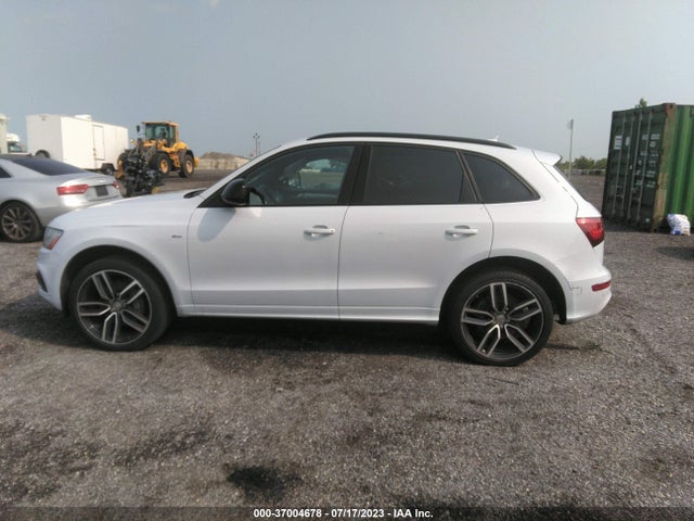 Audi Q5 Premium Plus 2016 WA1D7AFP8GA112146 Image 13