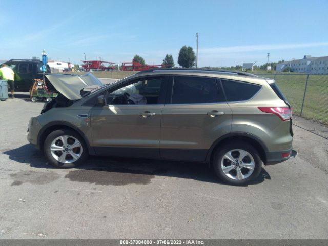 1FMCU0GX1EUA28129 Ford ESCAPE SE