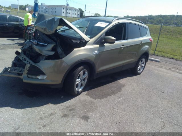 1FMCU0GX1EUA28129 Ford ESCAPE SE