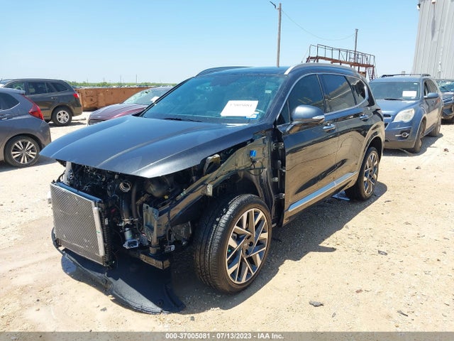 Hyundai Santa Fe Calligraphy 2023 5NMS5DAL4PH539614 Image 2