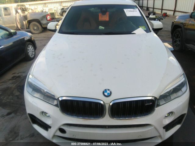 5YMKW8C50G0R43150 BMW X6 M