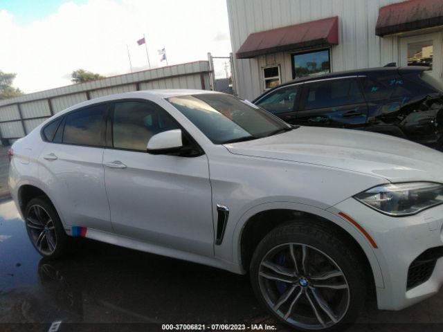 5YMKW8C50G0R43150 BMW X6 M