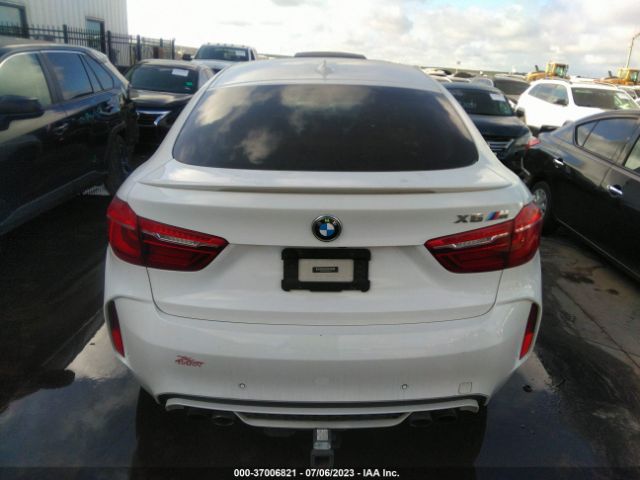 5YMKW8C50G0R43150 BMW X6 M