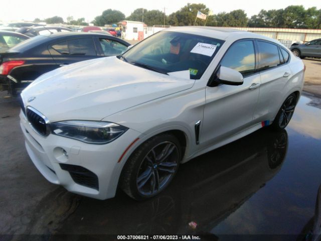 5YMKW8C50G0R43150 BMW X6 M