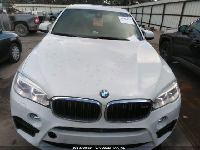 5YMKW8C50G0R43150 BMW X6 M