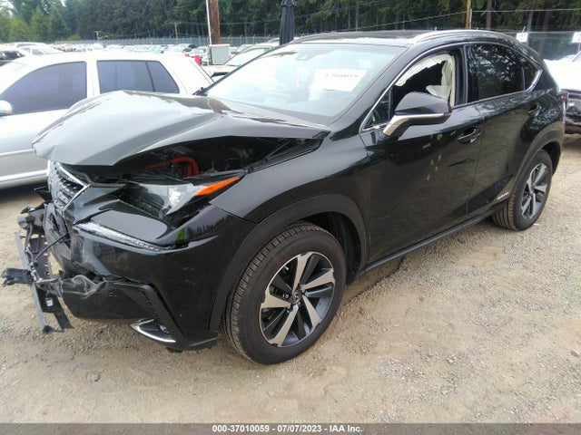 JTJBJRBZ8K2113964 Lexus Nx Nx 300h