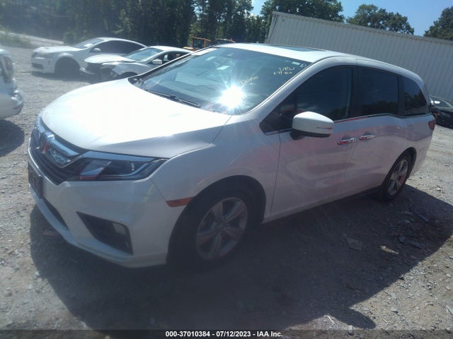 Honda Odyssey Ex-l 2020 5FNRL6H70LB031287 Image 2