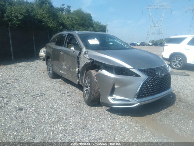 2020 Lexus RX, VIN: JTJAZKFA1L2024495