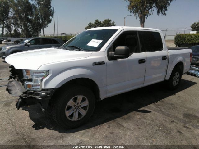 1FTEW1C83FKF22999 Ford F-150 Xlt/xl