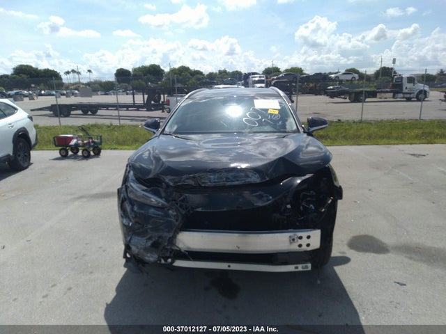 2024 Lexus NX, VIN: 2T2ADCAZ7RC007730