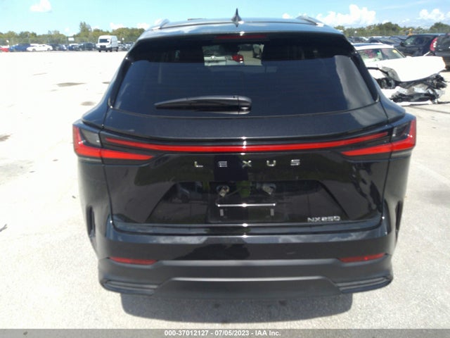2024 Lexus NX, VIN: 2T2ADCAZ7RC007730
