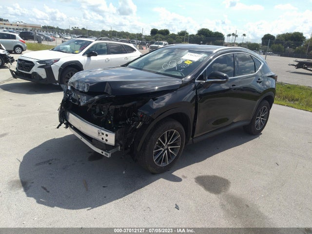 2024 Lexus NX, VIN: 2T2ADCAZ7RC007730