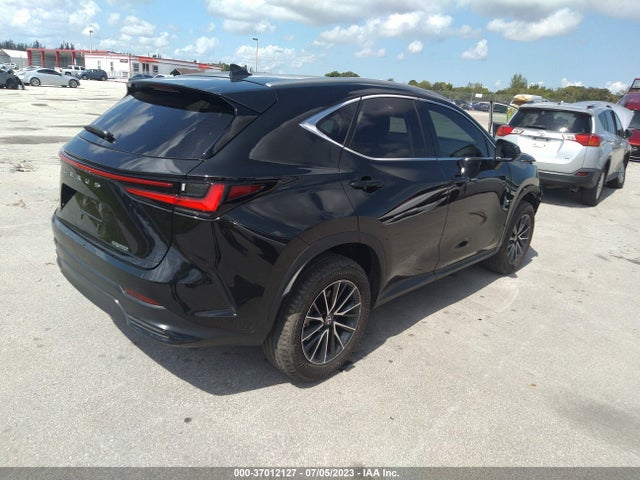 2024 Lexus NX, VIN: 2T2ADCAZ7RC007730
