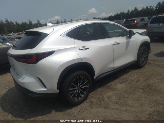 2022 Lexus NX, VIN: 2T2GKCEZ0NC007511