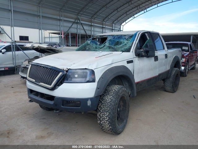 2005 FORD F-150 VIN: 1FTPW14545FB43062