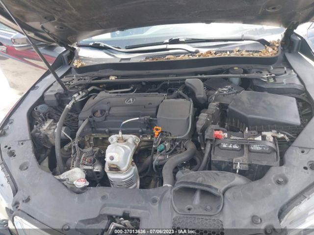 19UUB1F36GA001419 Acura TLX