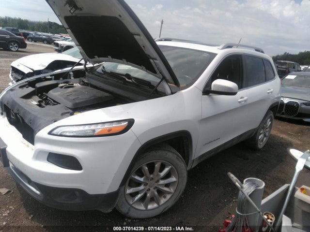 2014 JEEP CHEROKEE LIMITED VIN: 1C4PJMDS6EW271843