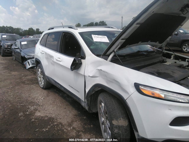 2014 JEEP CHEROKEE LIMITED VIN: 1C4PJMDS6EW271843