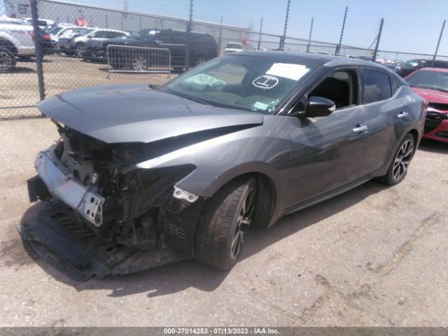 1N4AA6AP5JC375808 Nissan MAXIMA SL