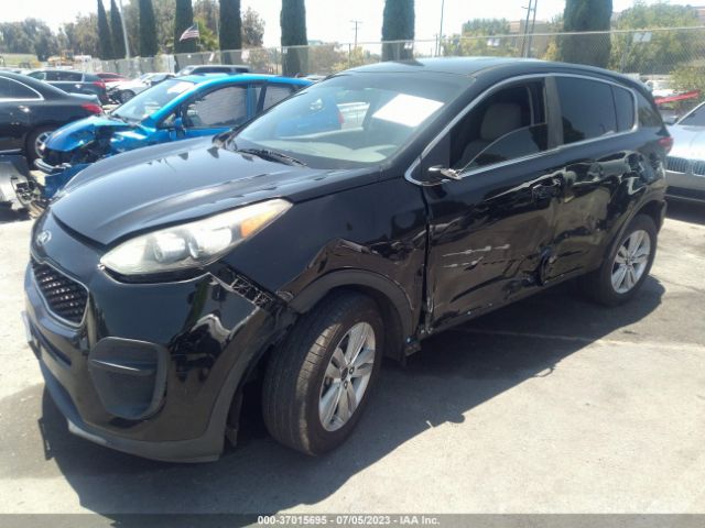 KNDPM3AC8H7234029 KIA Sportage Lx