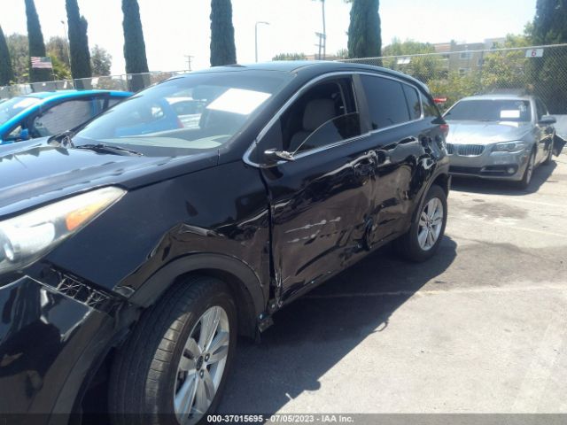 KNDPM3AC8H7234029 KIA Sportage Lx