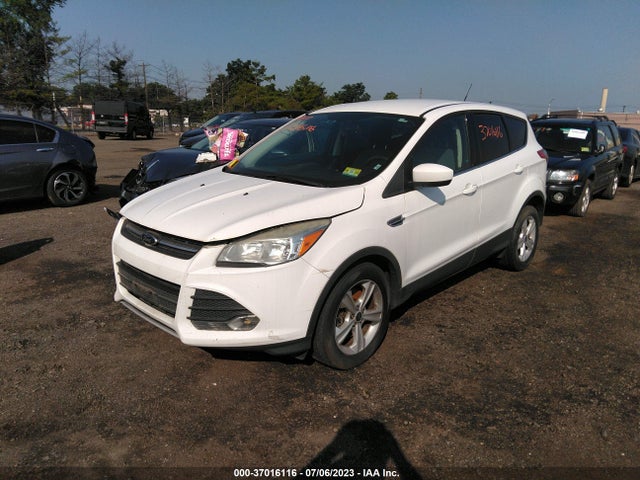 2014 FORD ESCAPE SE VIN: 1FMCU0G90EUD38483