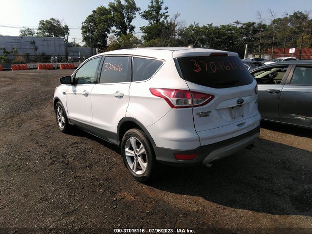 2014 FORD ESCAPE SE VIN: 1FMCU0G90EUD38483