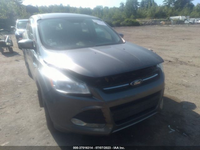 1FMCU9G9XEUC63702 Ford ESCAPE SE