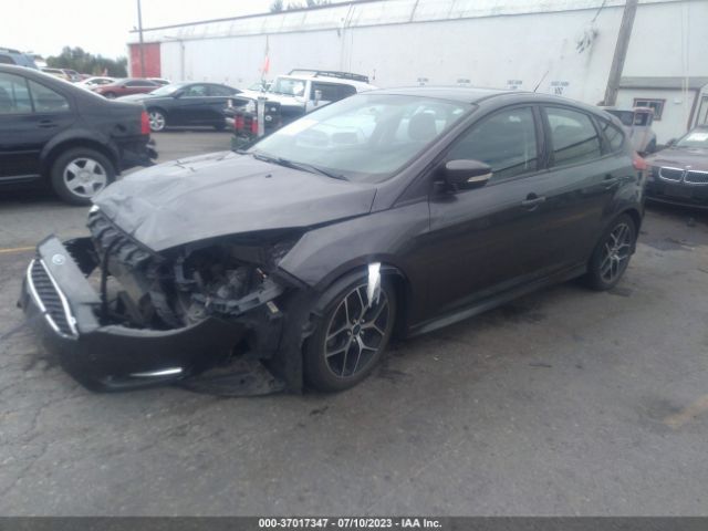 1FADP3K21GL310699 Ford FOCUS SE