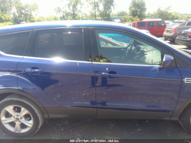 Продаж на аукціоні авто 2013 Ford Escape Se, vin: 1FMCU0GX8DUD77061, номер лоту: 37017544