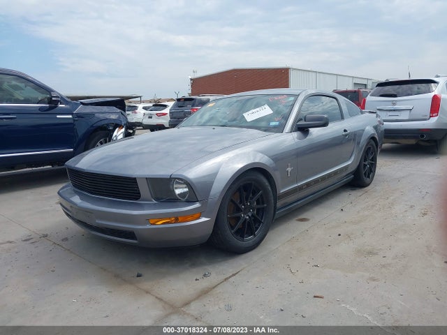 2007 FORD MUSTANG DELUXE/PREMIUM VIN: 1ZVFT80N975280085