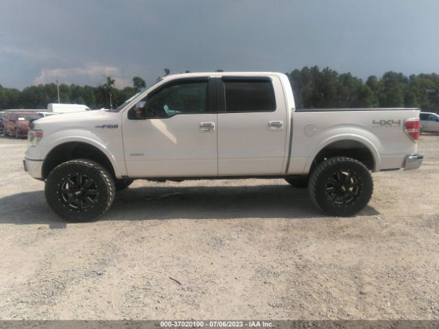 1FTFW1ET4EFA25344 Ford F-150 Xl/xlt/fx4/lariat