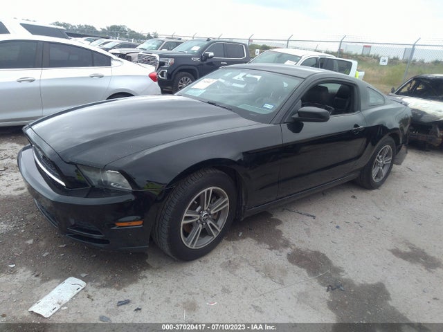 2013 FORD MUSTANG V6 VIN: 1ZVBP8AM4D5225208