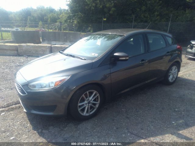 1FADP3K24GL389298 Ford FOCUS SE