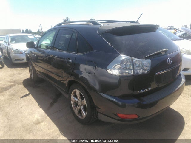 2006 LEXUS RX 330 VIN: JTJGA31U960062310