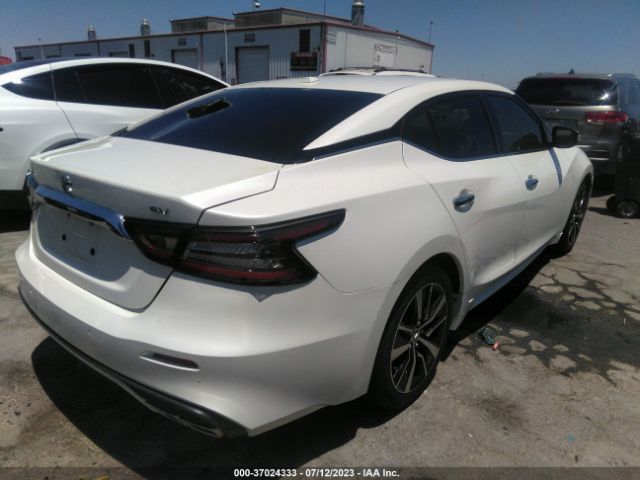 1N4AA6CV3MC502104 Nissan MAXIMA SV