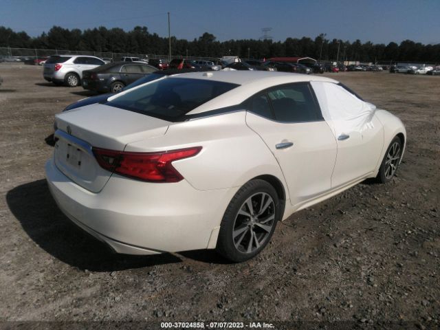 1N4AA6AP7GC430249 Nissan Maxima 3.5 S