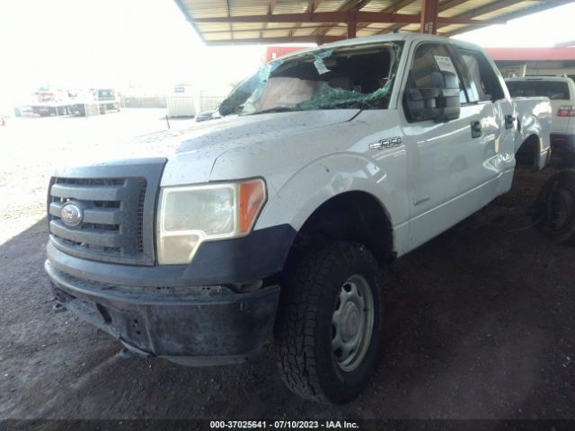 1FTFW1ET9EKG53696 Ford F-150 Xl/xlt/fx4/lariat