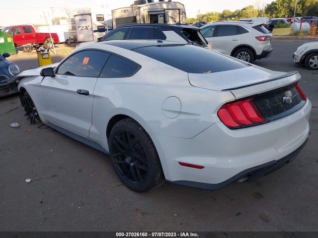 Ford Mustang Ecoboost Premium 2019 1FA6P8TH5K5186426 Image 3