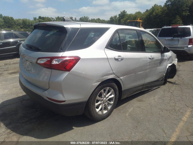 2019 CHEVROLET EQUINOX LS VIN: 3GNAXHEV1KS613069