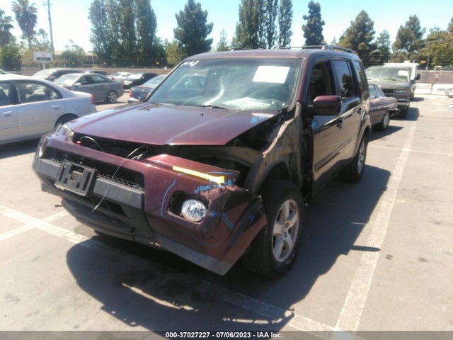 2009 HONDA PILOT EX-L VIN: 5FNYF48619B035646