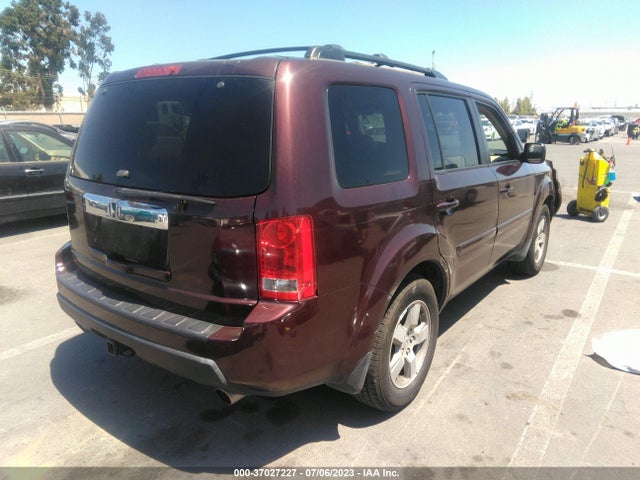 2009 HONDA PILOT EX-L VIN: 5FNYF48619B035646