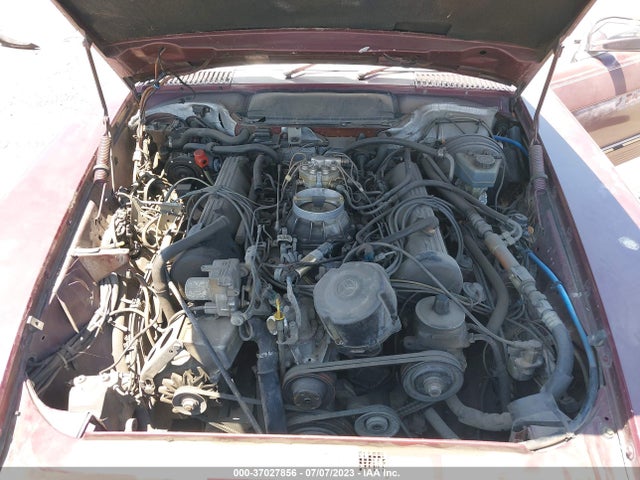 1986 MERCEDES-BENZ 560 SL VIN: WDBBA48D4GA054053