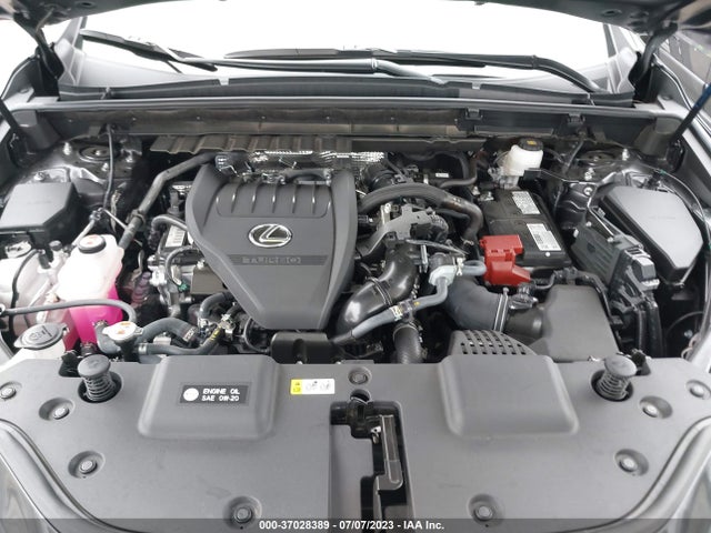 2022 Lexus NX, VIN: 2T2AGCEZ2NC008957