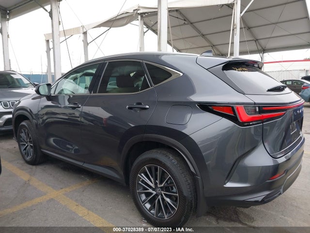 2022 Lexus NX, VIN: 2T2AGCEZ2NC008957