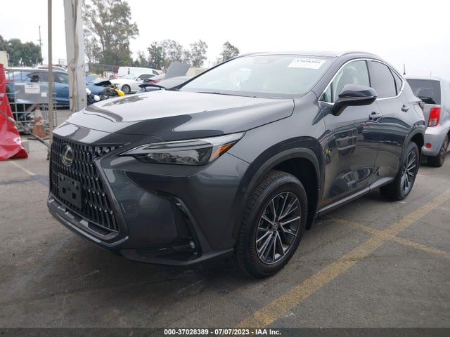 2022 Lexus NX, VIN: 2T2AGCEZ2NC008957