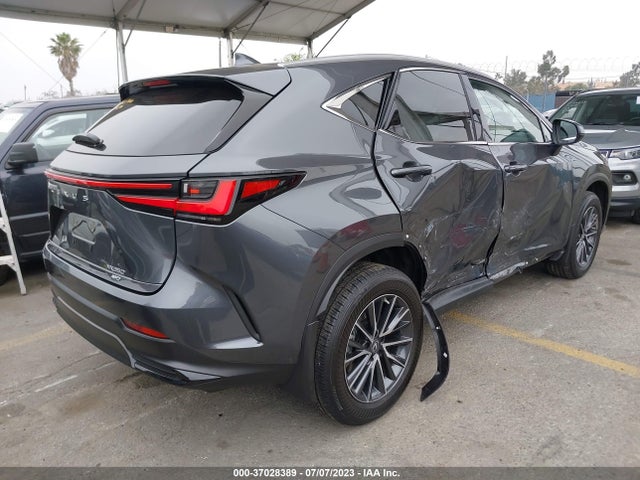 2022 Lexus NX, VIN: 2T2AGCEZ2NC008957