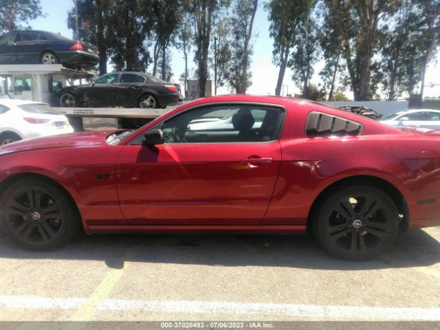 1ZVBP8AMXE5327615 Ford Mustang V6